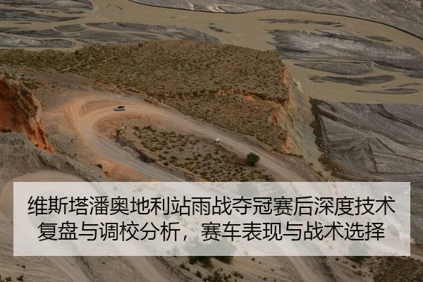 维斯塔潘奥地利站雨战夺冠赛后深度技术复盘与调校分析，赛车表现与战术选择